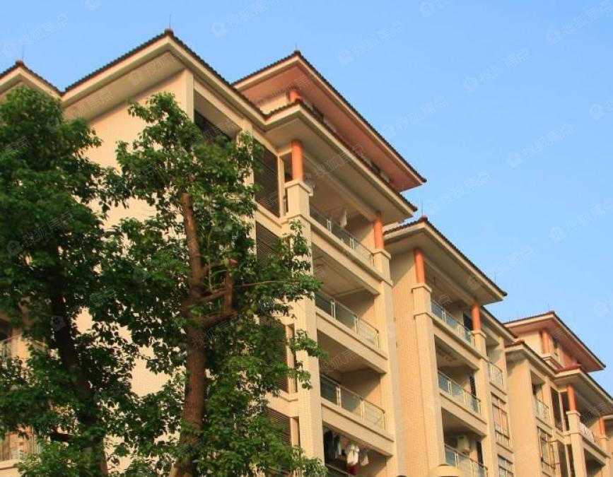 世纪雅苑实景图_世纪雅苑环境怎么样-肇庆搜狐焦点网