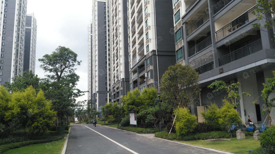 金源世家实景图_金源世家环境怎么样-梧州搜狐焦点网