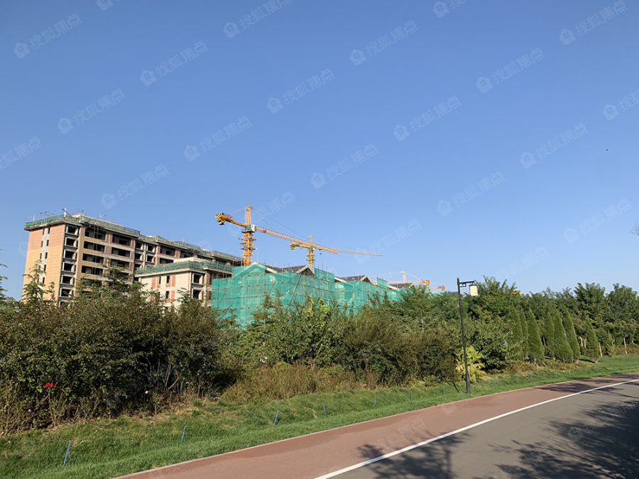 创业悦湖花园实景图_创业悦湖花园环境怎么样-淄博搜狐焦点网