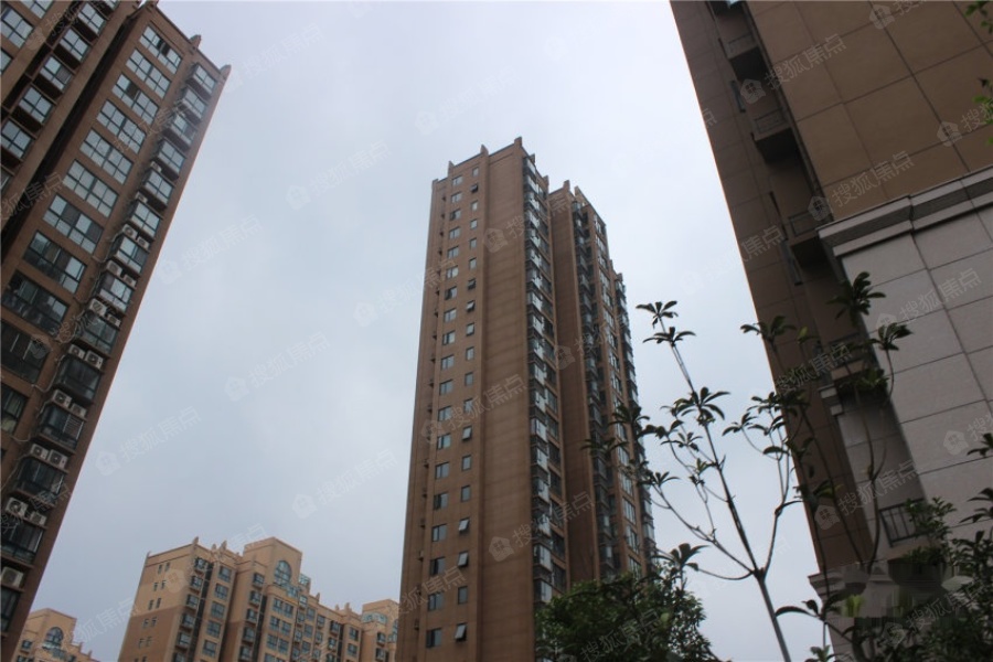 世界城实景图_世界城环境怎么样-信阳搜狐焦点网