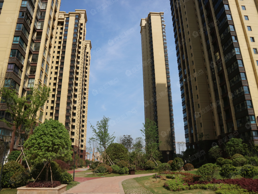 中房天玺湾图片_样板间_装修效果图-株洲搜狐焦点网