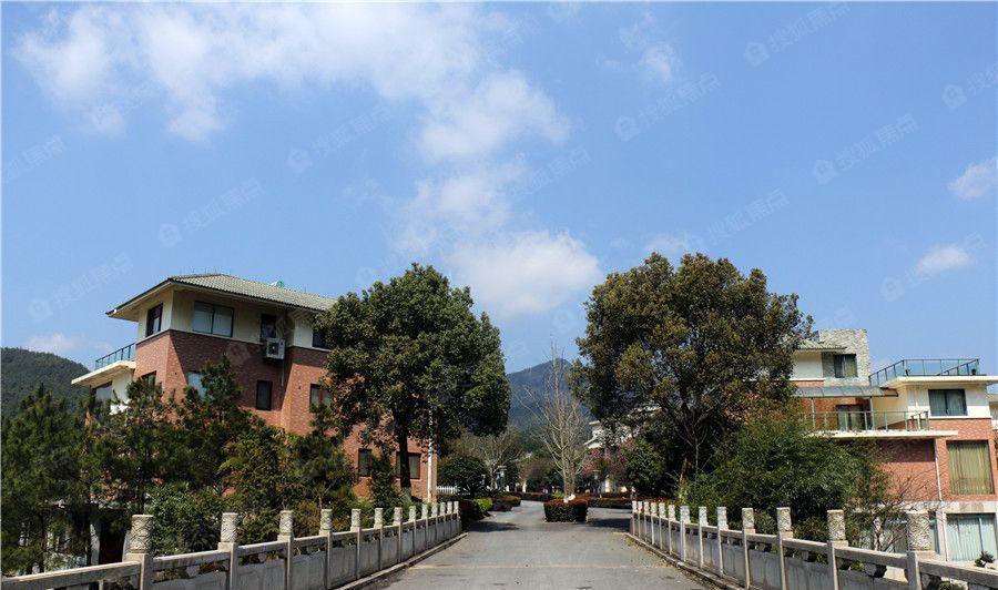 清泰半山半岛实景图_清泰半山半岛环境怎么样-衢州搜狐焦点网