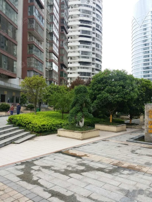 金磊富域城实景图_金磊富域城环境怎么样-怀化搜狐焦点网