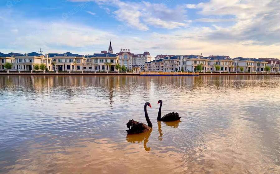 金地湖畔图片_样板间_装修效果图-齐齐哈尔搜狐焦点网