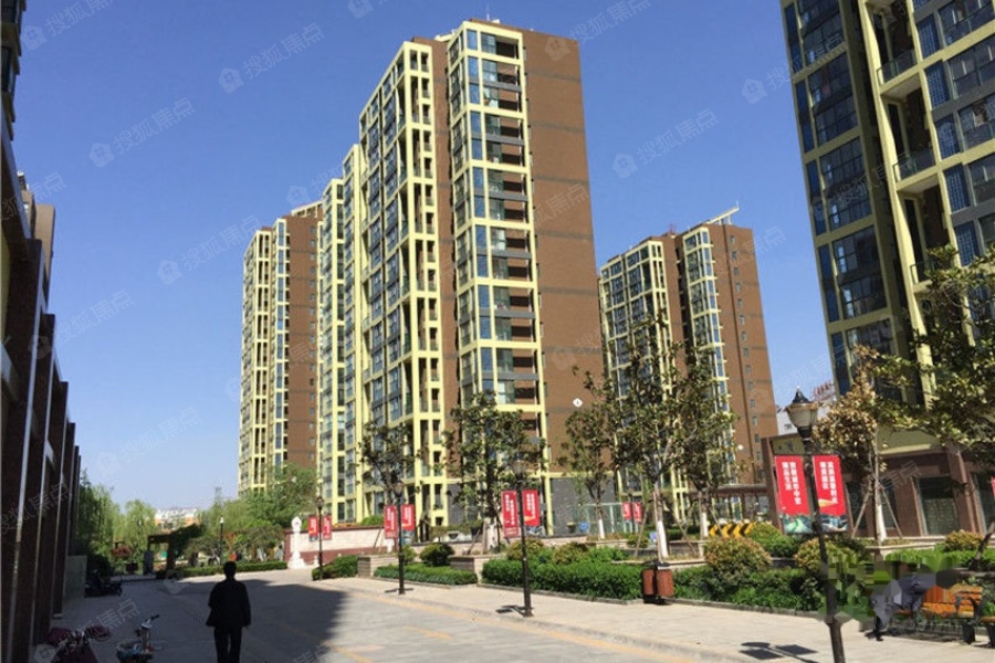 泰山新兴园实景图_泰山新兴园环境怎么样-泰安搜狐焦点网