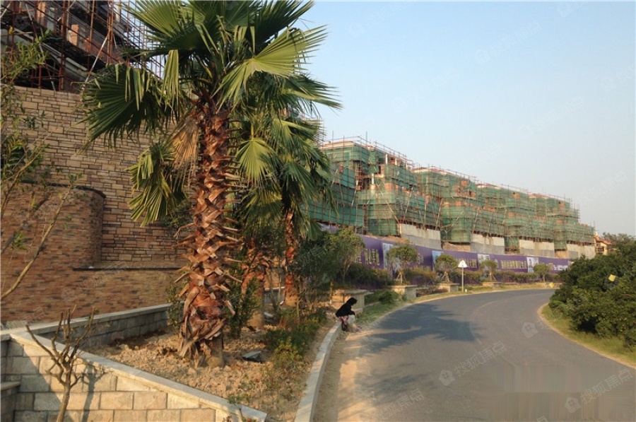 恒盛名苑图片_样板间_装修效果图-衢州搜狐焦点网