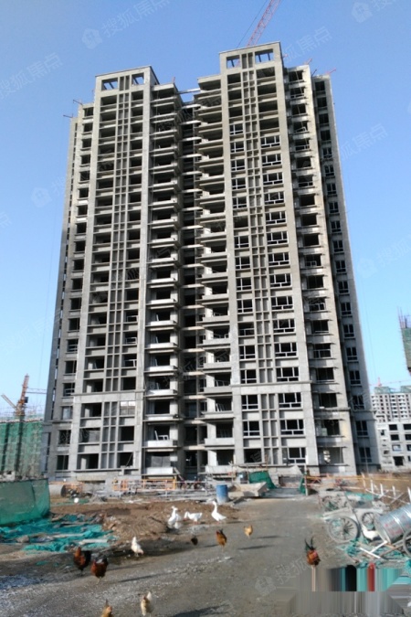 金柱绿城图片_样板间_装修效果图-聊城搜狐焦点网