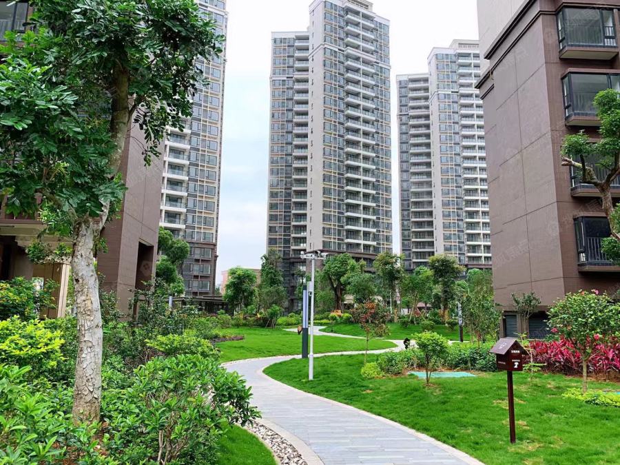 颐景湾畔实景图_颐景湾畔环境怎么样-东莞搜狐焦点网