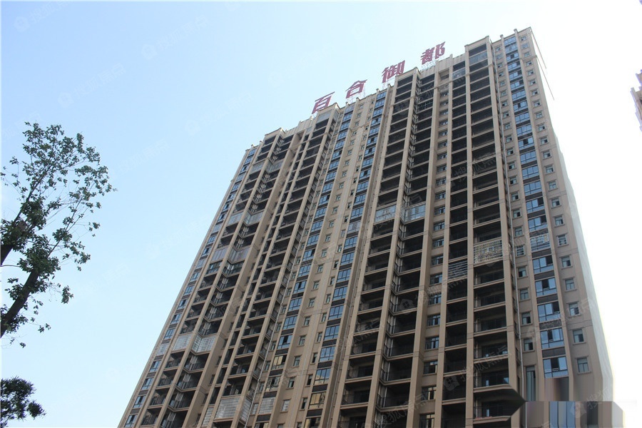 百合御都图片_样板间_装修效果图-湘潭搜狐焦点网