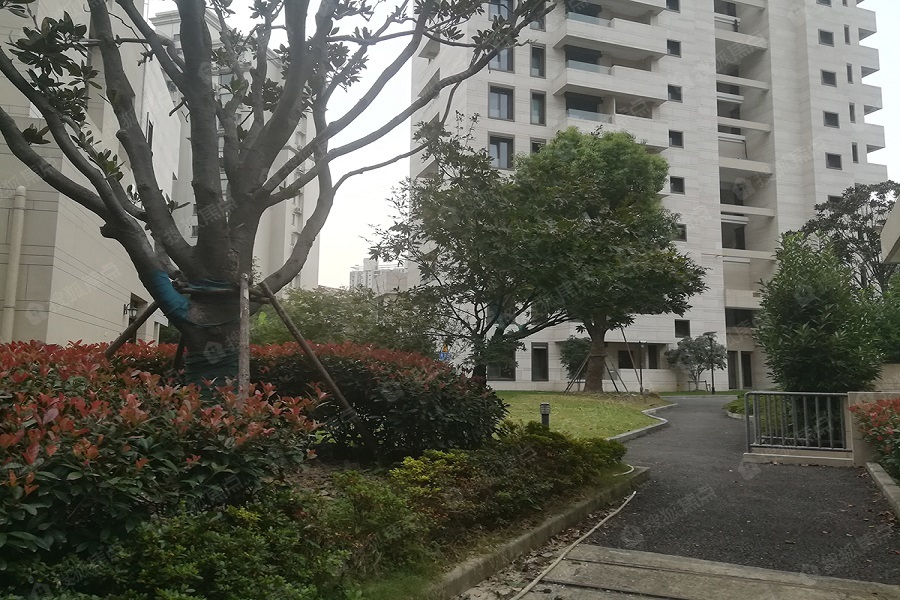 承安瑞园图片_样板间_装修效果图-上海搜狐焦点网