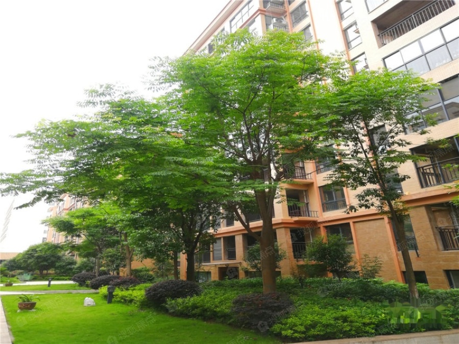 公园世家实景图_公园世家环境怎么样-常德搜狐焦点网