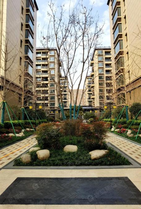 邦泰天璞实景图_邦泰天璞环境怎么样-潍坊搜狐焦点网