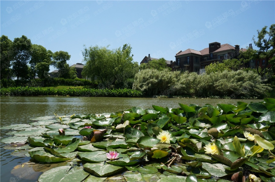 华章御上江南实景图_华章御上江南环境怎么样-嘉兴搜狐焦点网