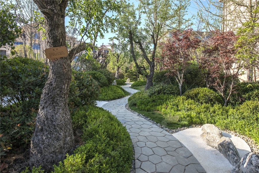 望府大院图片_样板间_装修效果图-威海搜狐焦点网