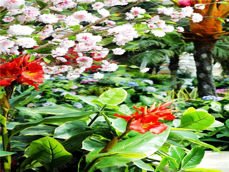 恒大帝景(备案名:恒大茸景佳苑)实景图_恒大帝景(备案名:恒大茸景佳苑