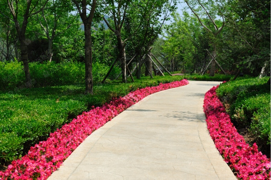 普罗旺斯图片_样板间_装修效果图-大连搜狐焦点网