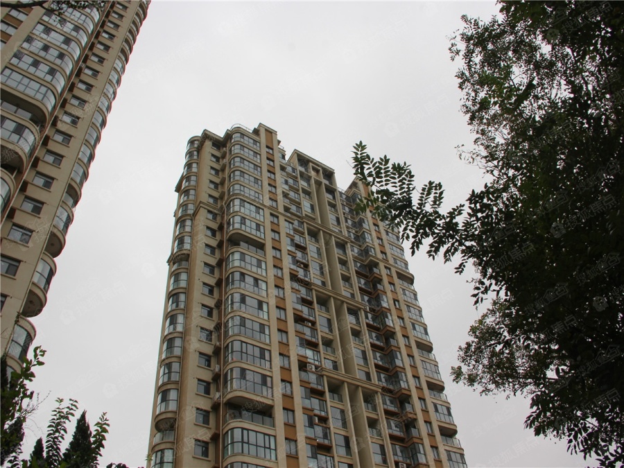 海琴湾图片_样板间_装修效果图-烟台搜狐焦点网