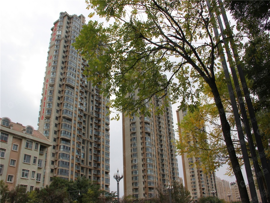 海琴湾图片_样板间_装修效果图-烟台搜狐焦点网