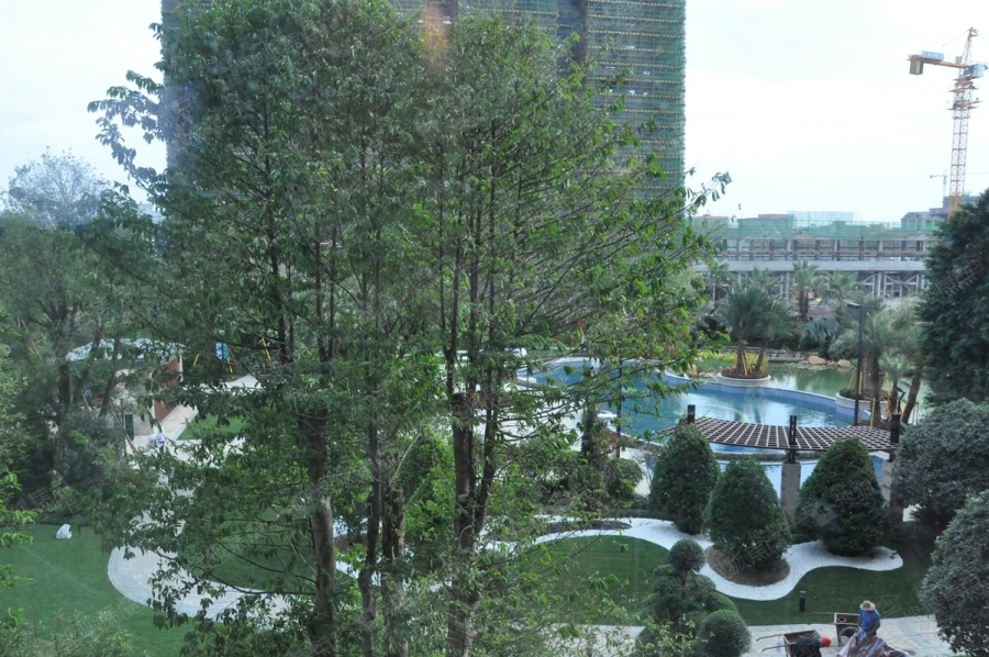 东莞恒大翡翠华庭实景图_东莞恒大翡翠华庭环