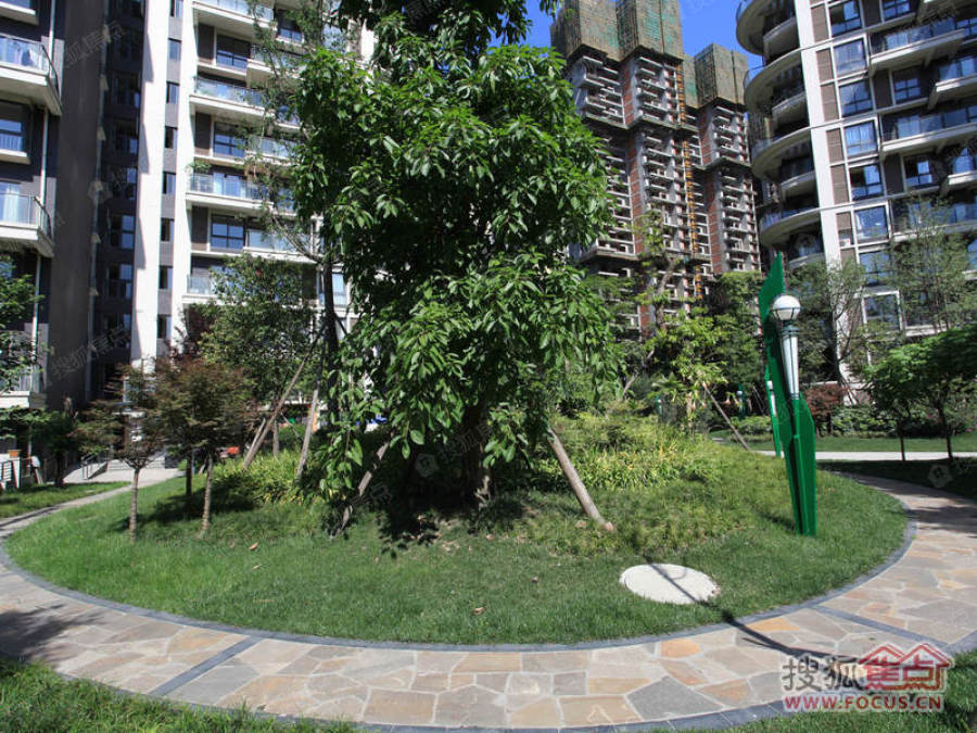 红树湾一期实景图_红树湾一期环境怎么样-成都搜狐焦点网