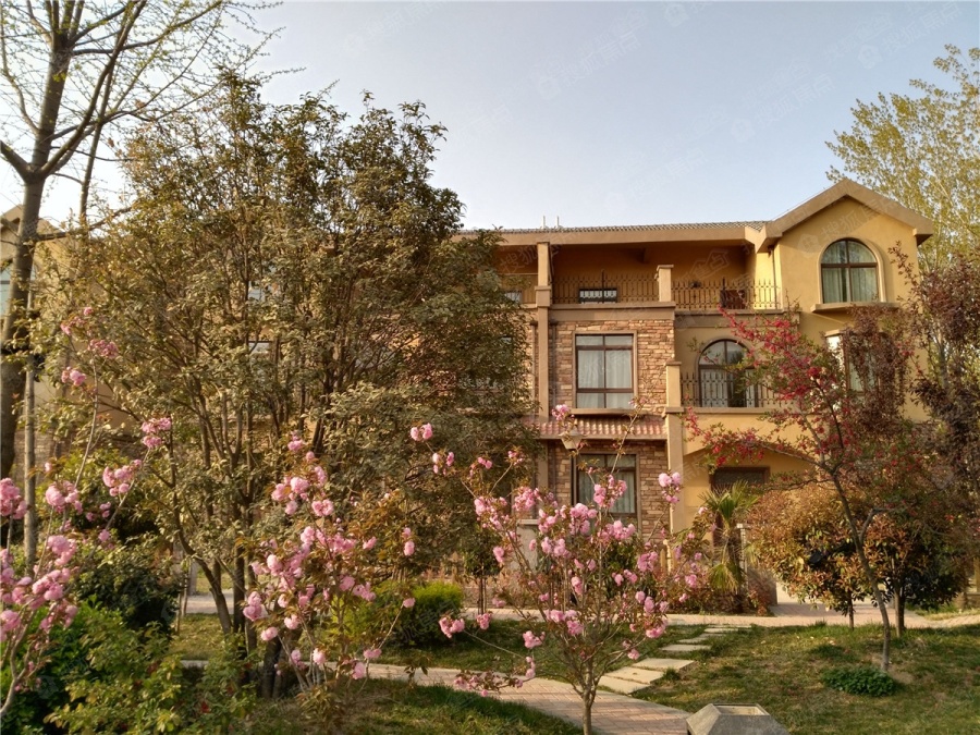 田园牧歌庄园图片_样板间_装修效果图-郑州搜狐焦点网