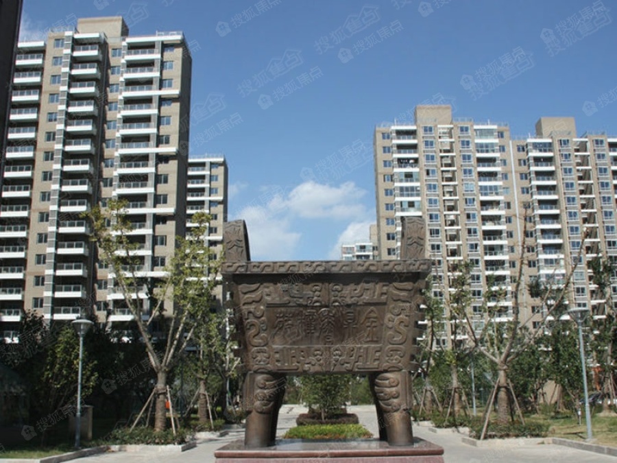 金鼎香樟苑实景图_金鼎香樟苑环境怎么样-上海搜狐焦点网