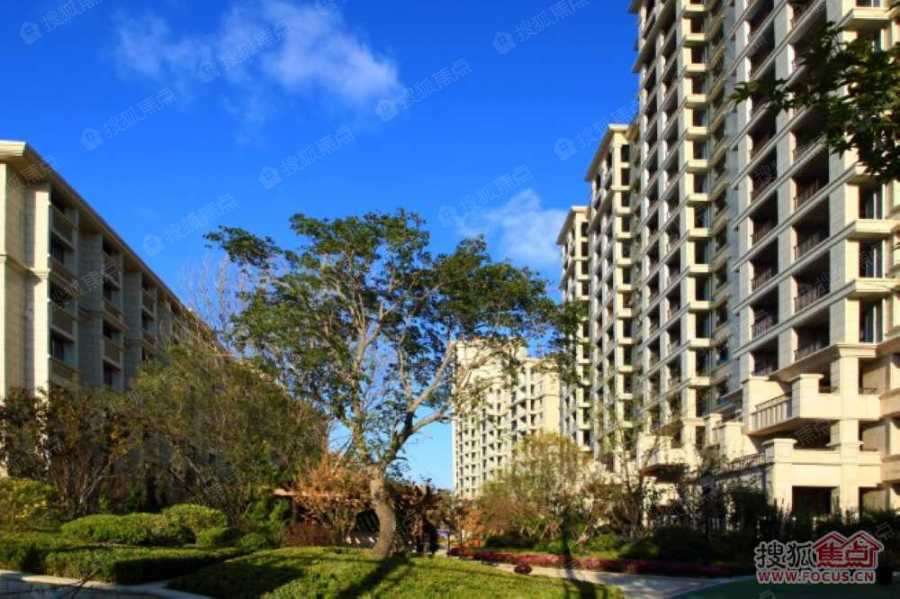 香水湾实景图_香水湾环境怎么样-大连搜狐焦点网