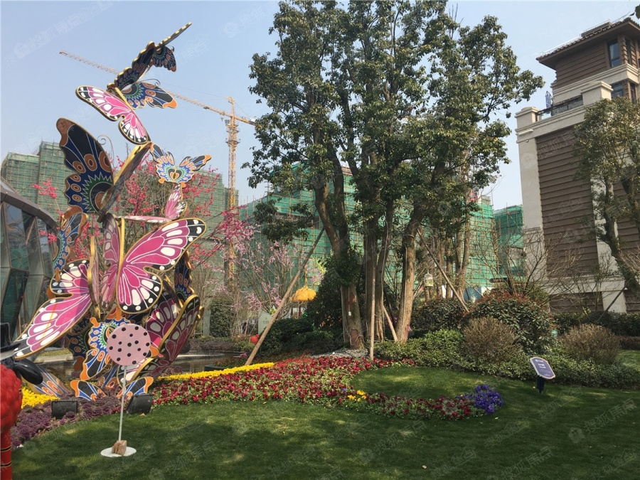 恒大帝景(备案名:恒大茸景佳苑)实景图_恒大帝景(备案名:恒大茸景佳苑
