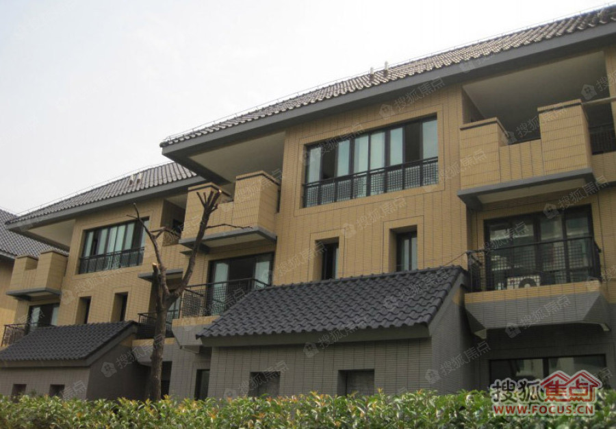 和风golf别墅图片_样板间_装修效果图-上海搜狐焦点网