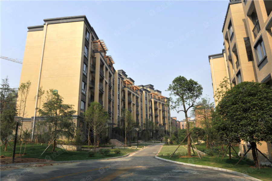 山水湾实景图_山水湾环境怎么样-长沙搜狐焦点网