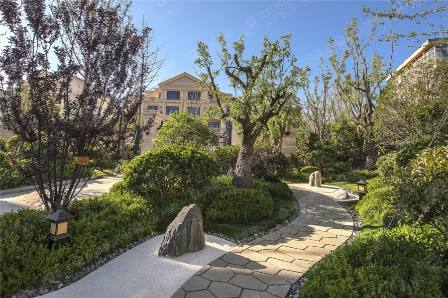 望府大院图片_样板间_装修效果图-威海搜狐焦点网