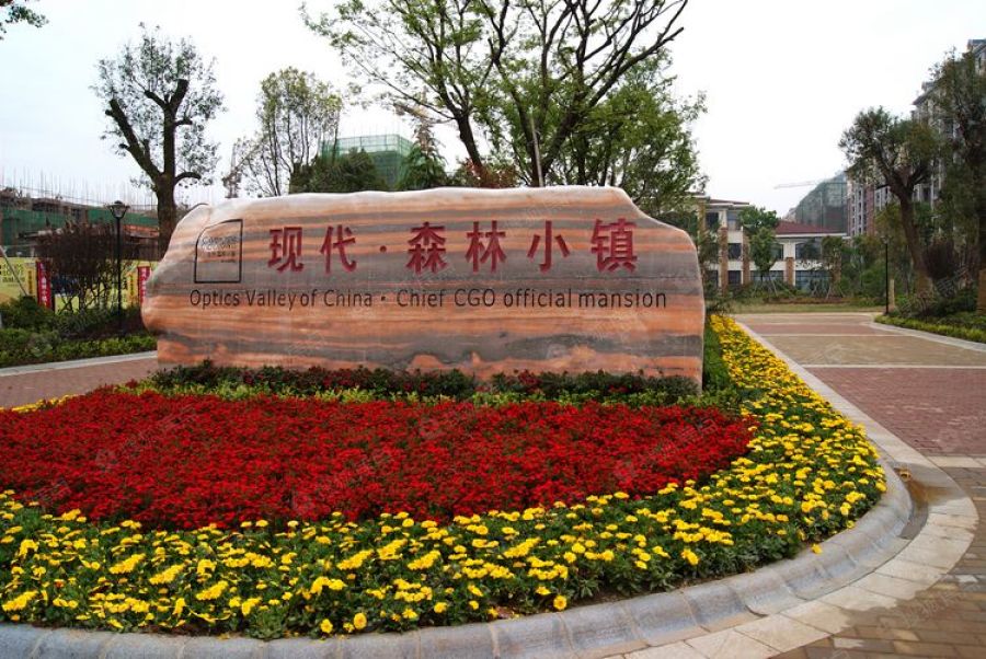 现代森林小镇实景图_现代森林小镇环境怎么样-武汉搜狐焦点网