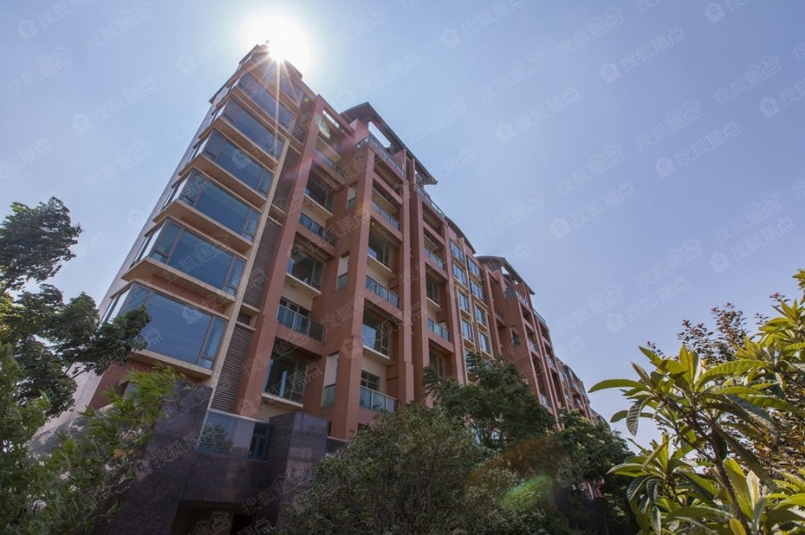 新世界梦湖香郡实景图_新世界梦湖香郡环境怎么样-武汉搜狐焦点网