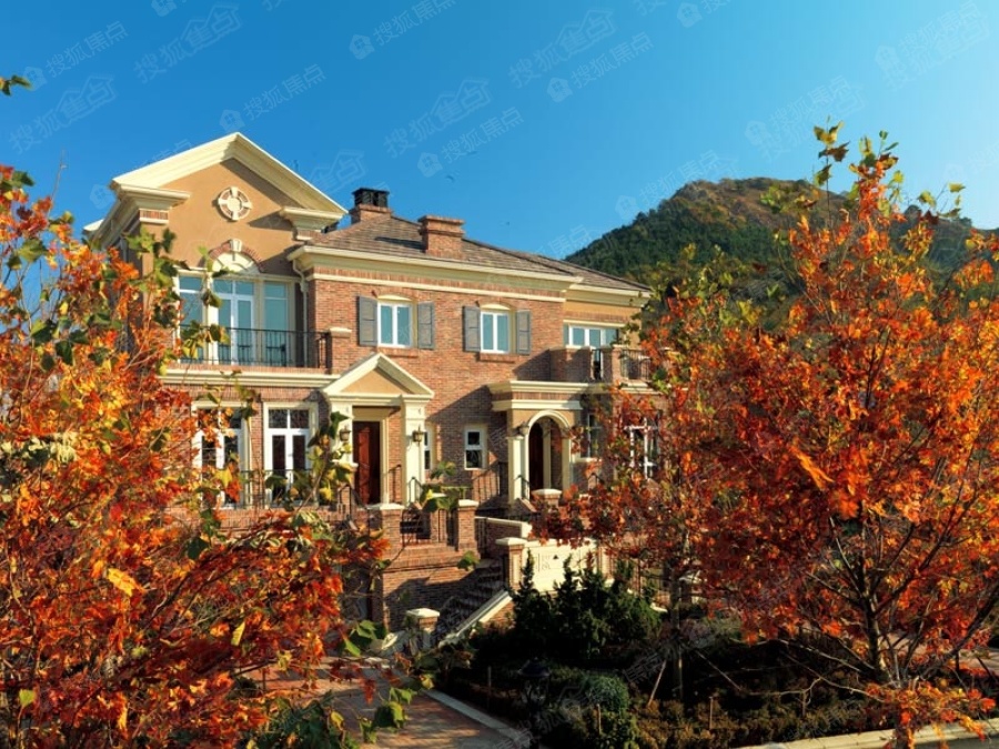 亿达蓝湾镇图片_样板间_装修效果图-大连搜狐焦点网