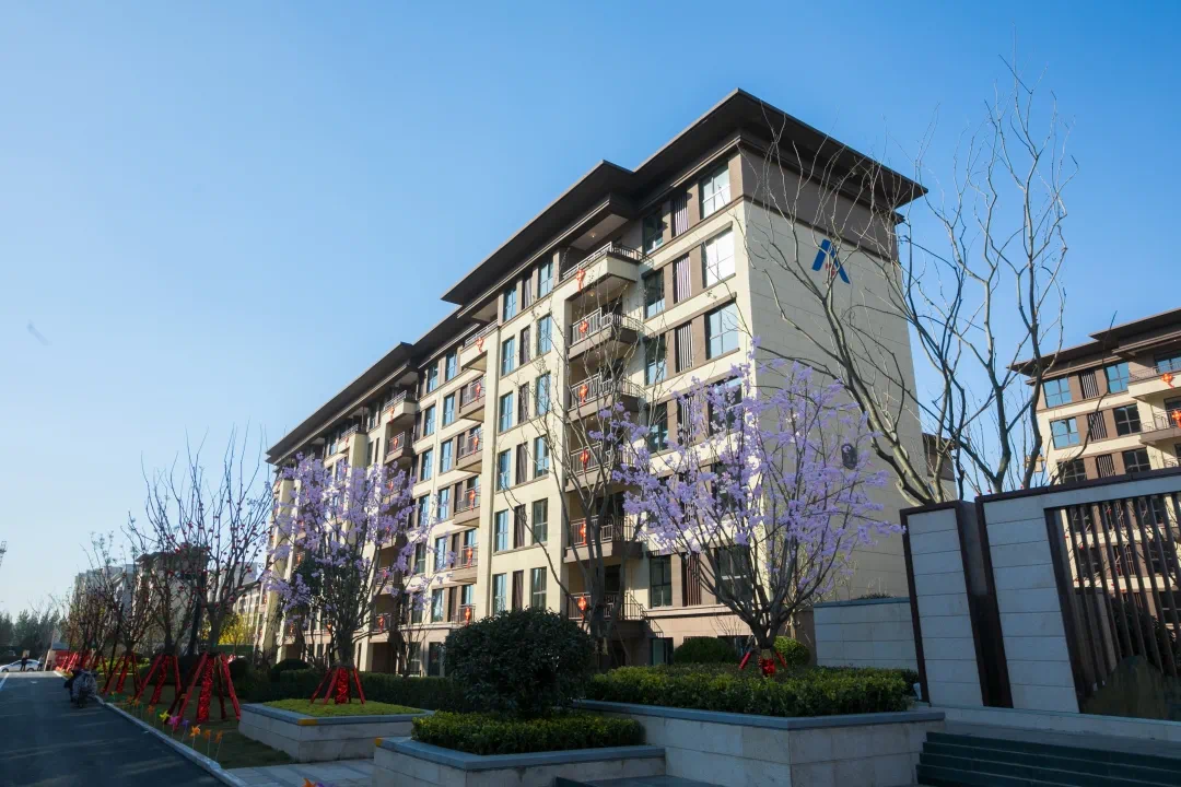 建业春天里|热烈祝贺濮阳客运南站1月20日盛大运营!