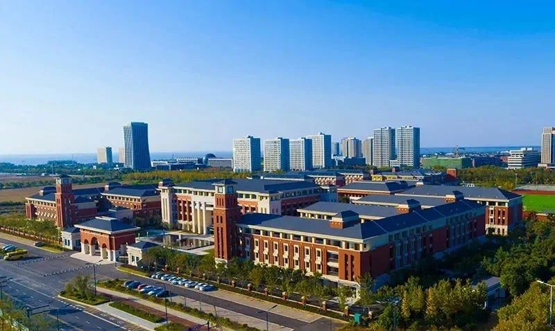 湖滨新区小学