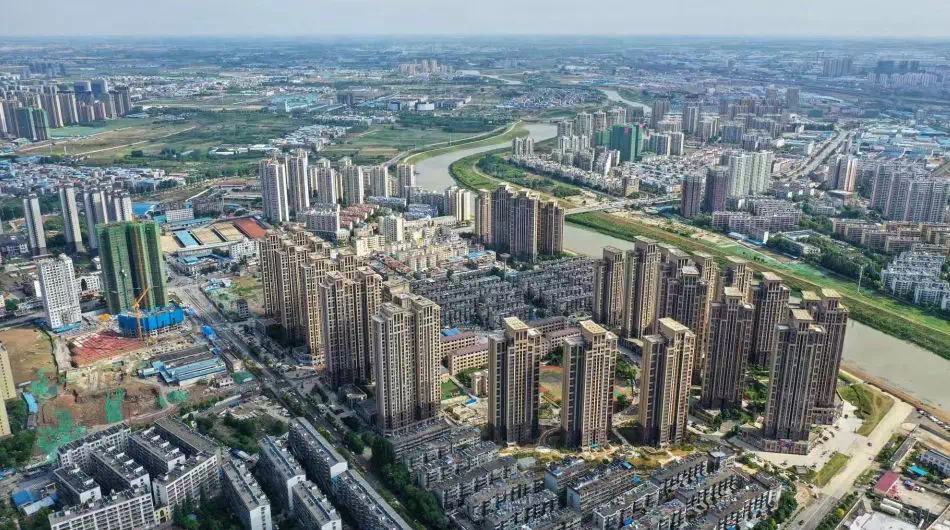 襄阳园林绿化树苗批发
