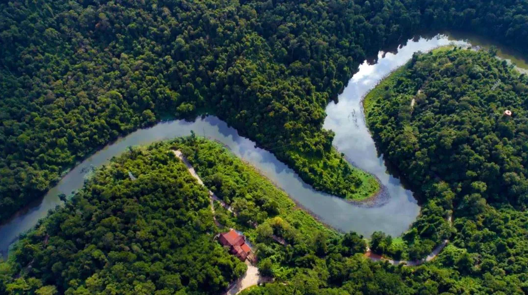 占全国的1/6,动物种类占全国的1/4,西双版纳的森林覆盖率更是高达约