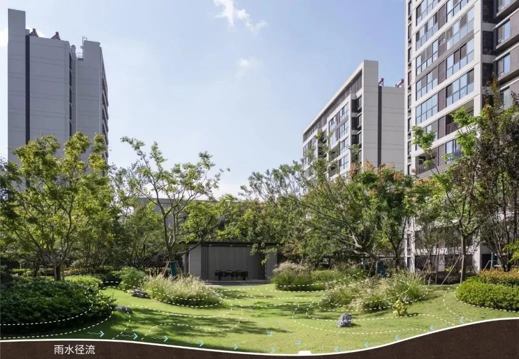 绿地▼生物滞留池▼漫栖园二类汇水分区实景图漫栖园二类汇水分区径流