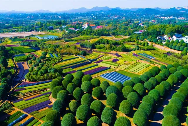 长株潭融城加速度!长郡旁 旅游ip 户型超赞 这个盘迎来利好