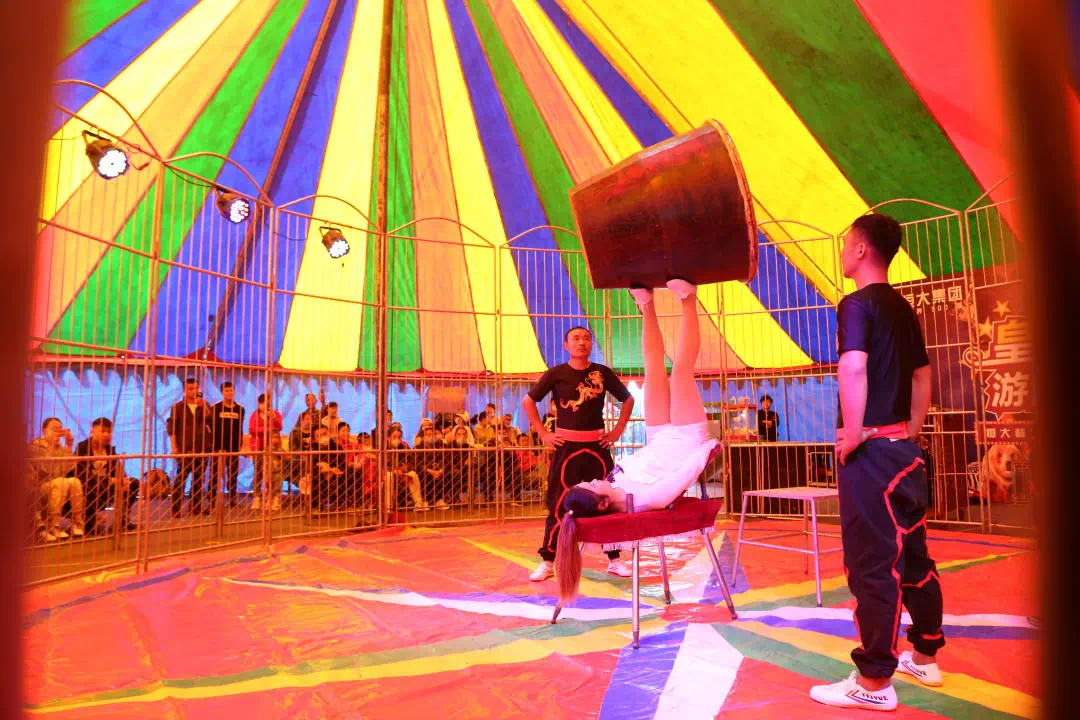 从脚蹬大水缸,叼球到水流星,草帽等,从力量表演到空中飞人,惊险刺激的