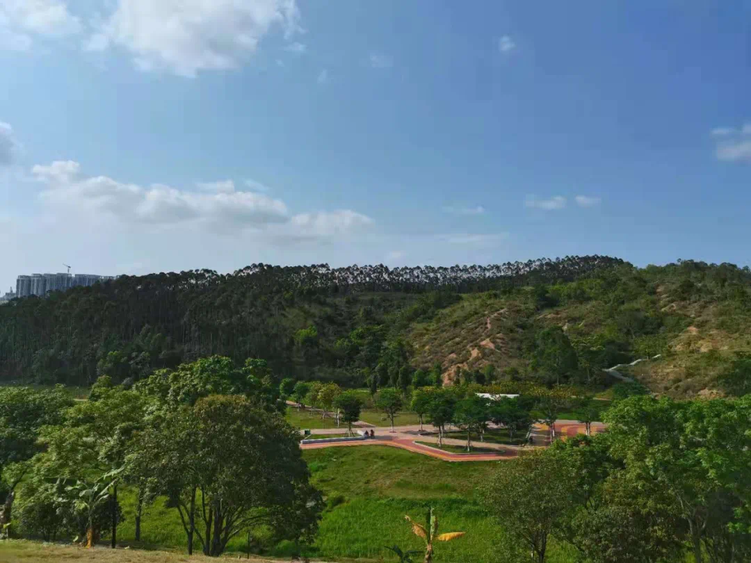 420米的南宁塔建在龙岗灵龟山,定了?