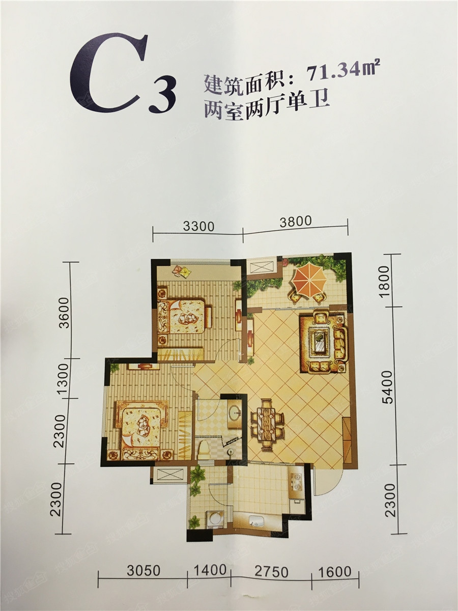 学府阳光